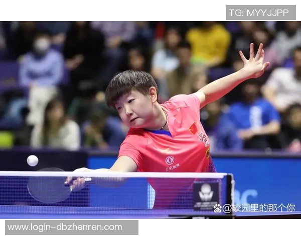 2026年3月份新闻北京羽毛球队实力深度剖析与对手比较的独特视角